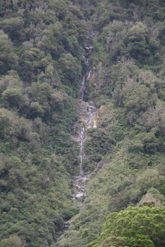 Nieuw-Zeeland 2011 - 1412